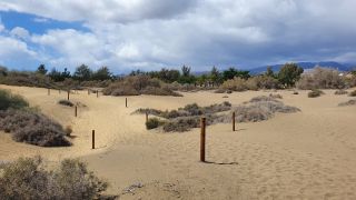 2023-GC--Mapalomas dunas-S123-029.jpg